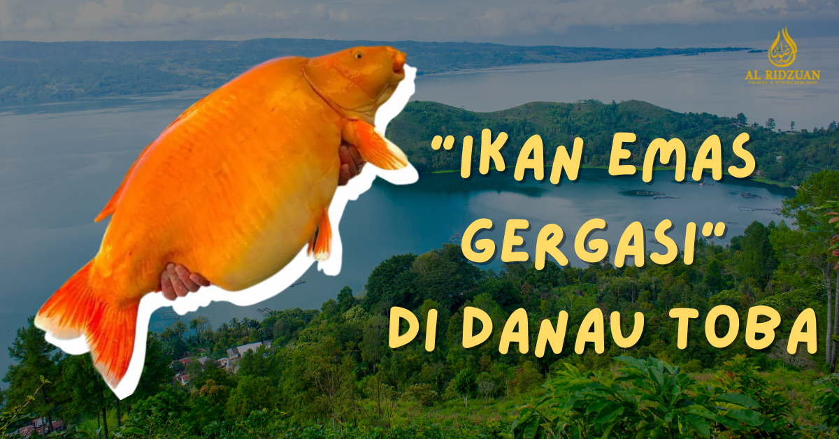 Sumpahan Ikan Emas, Ini Adalah Lagenda Misteri Di Danau Toba
